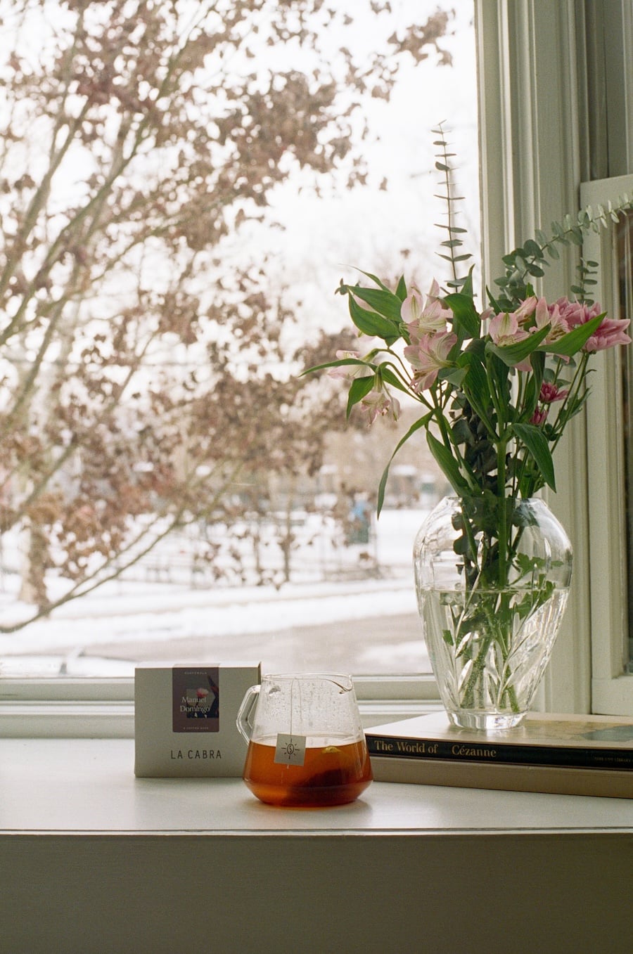 Manuel Domingo - Steeped