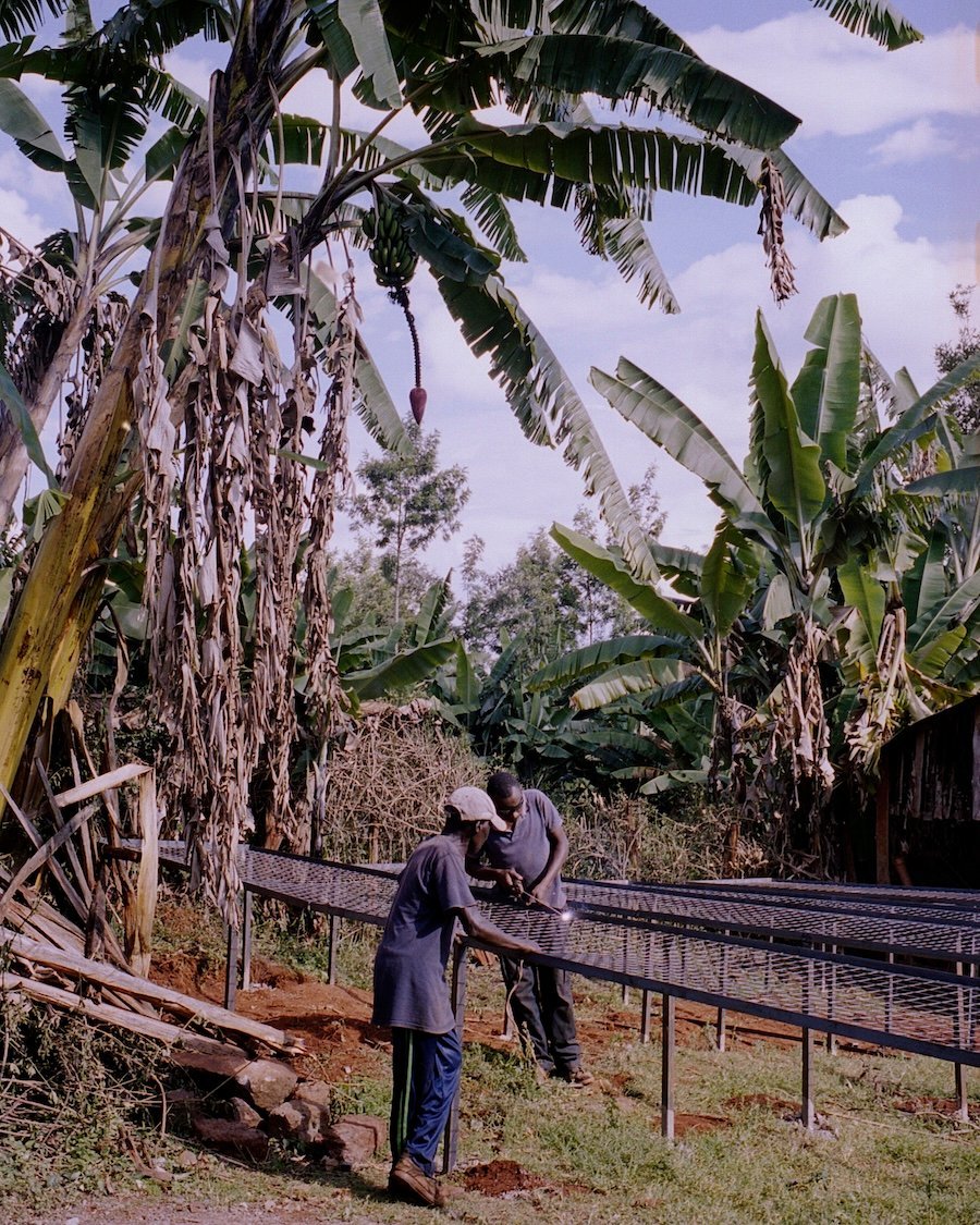 Kiangoi