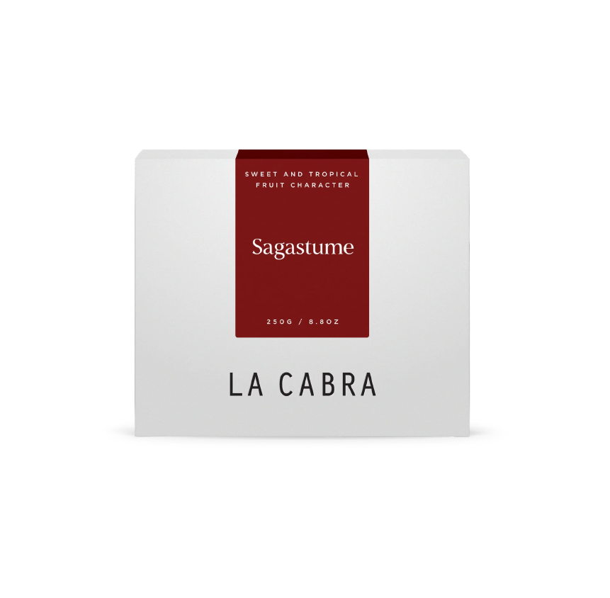 La Cabra Sagastume Honey Pacas at Home FortyFour Toronto